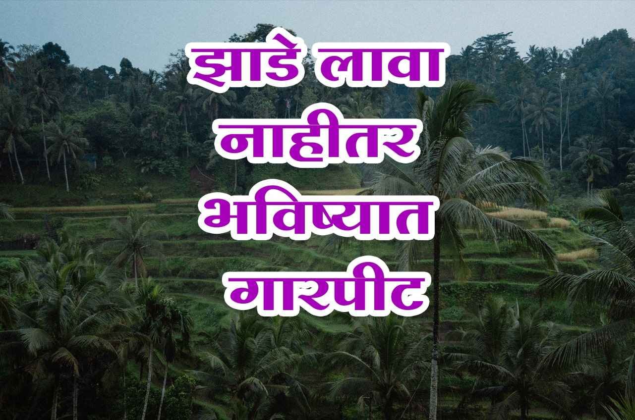 Plant_trees_or_hail_in_future