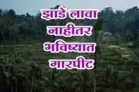 झाडे लावा नाहीतर भविष्यात गारपीट
